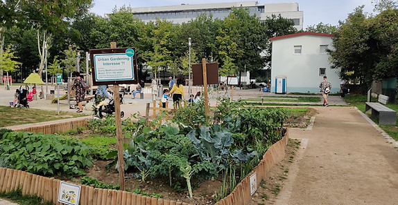 urban gardening 22.09.2021.jpg