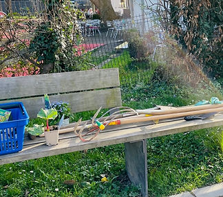 Urban Gardening_20240314_1.jpg