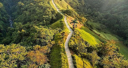 ubud.jpeg