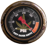 Orange Gauges_highres_RGBcolor_edited.pn