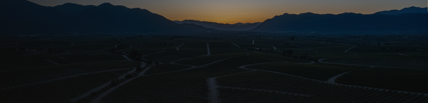 sunrise over Nemea