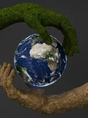 What Is Circular Economy & Example: A Simple Guide to How It Works