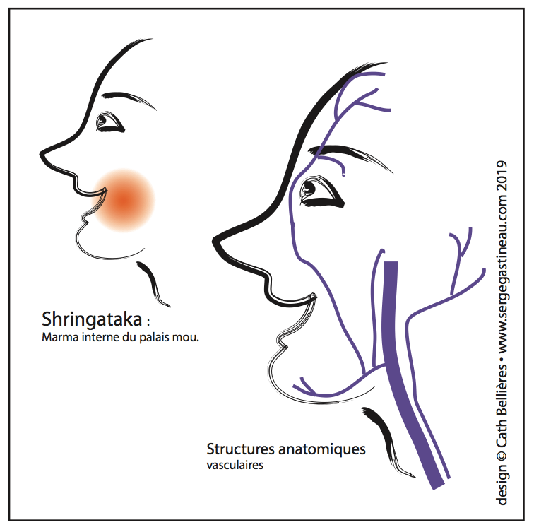 Shringataka Marma
