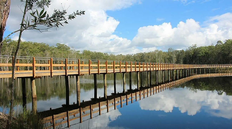 Urunga wetlands boardwalk