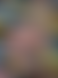 Discover Crowdy Head's Abundant Fish Species with Us