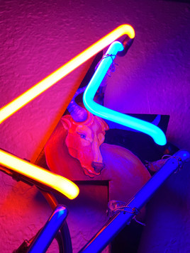 8B4489D5-623E-4465-9D52-D28CA5839D17.jpeg
