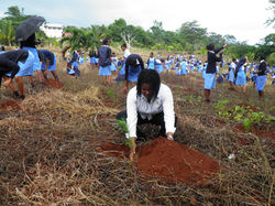 Tree Planting at Hampton SchPB041955
