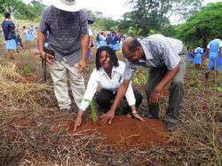 Tree Planting at Hampton School