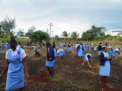 Tree Planting at Hampton School