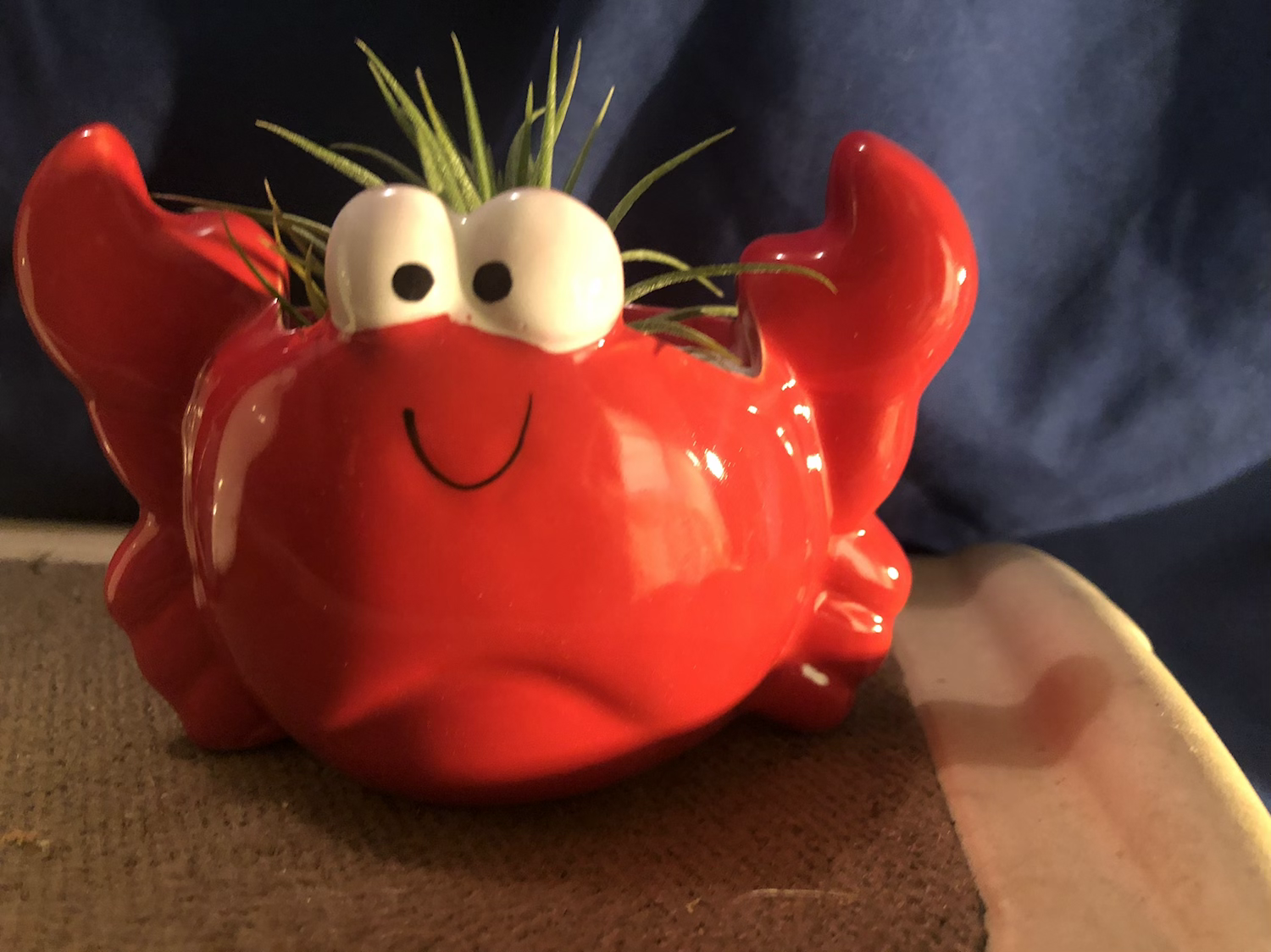 Animal plants