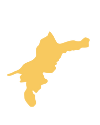 緊急駆けつけ