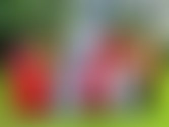 MISS PACIFIC ISLANDS PAGEANT 2025 FACES JUDGING CONTROVERSY