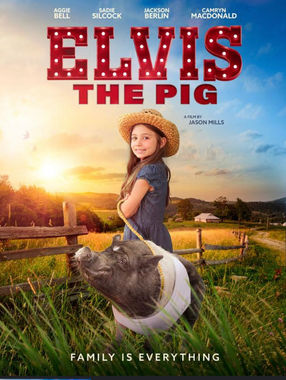 Elvis the pig independent movie poster and link to the free movie on millspictures studios youtube.