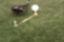 Miniatura: NeverLostGolf Tee Saver ™