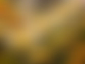 Small Party Catering Tips And Ideas For Every Budget