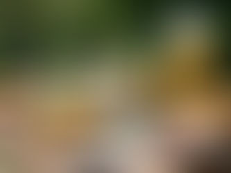 Eco-friendly backyard party table with gourmet salads, citrus drinks, and elegant catering setup.