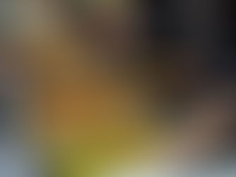 Learn How to Serve Your Guests with Style with Our Traditional Wedding Catering Services