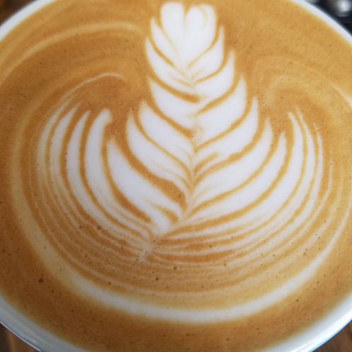 Rosetta medium.jpeg