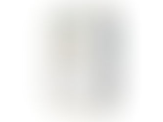 SK化研「プレミアムシリコン」とは?