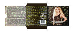 CD package project copy