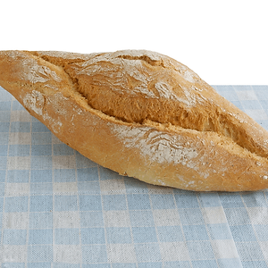Panino
