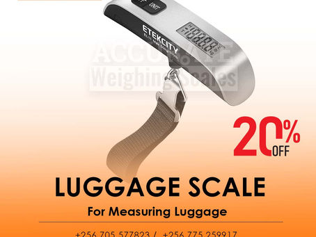 Hook digital portable Scale for traveler's luggage