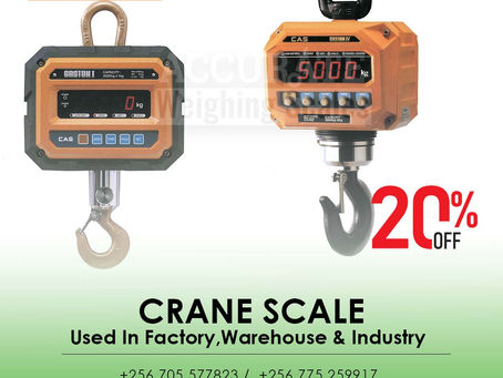Quality heavy duty industrial crane scales jinja