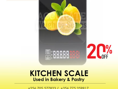 best durable stainless standard kitchen scale