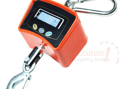 crane weighing scales with palm indicator at affordable prices busia