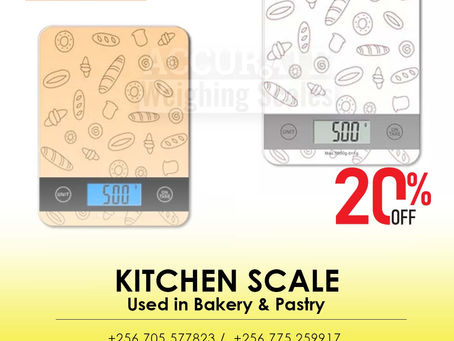 Household Stainless Digital kitchen Scale