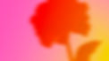 fond sangria rouge.jpg
