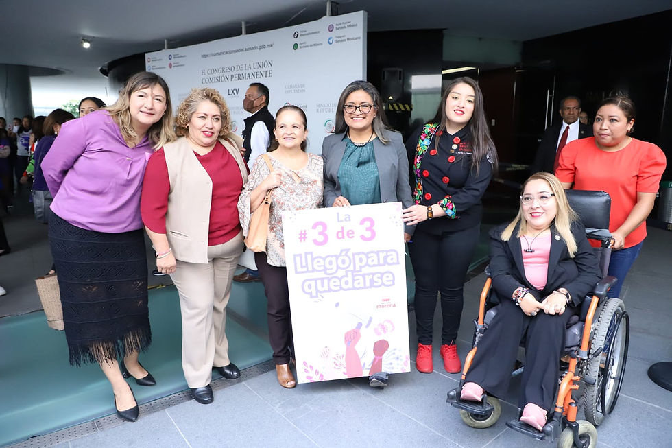 Ley 3 de 3 Vs. la Violencia