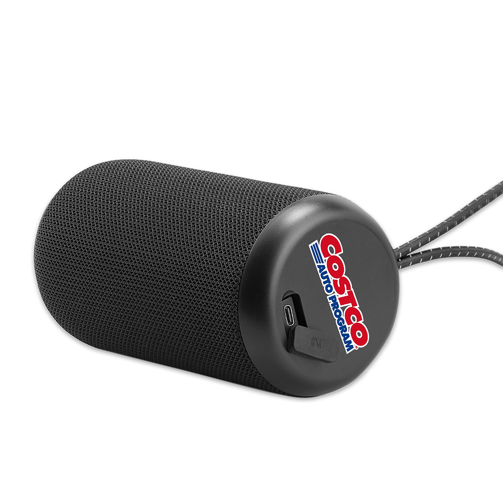 Thumbnail: Triton IPX7 Waterproof Outdoor Bluetooth Speaker