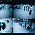 iStock-2143498093.jpg