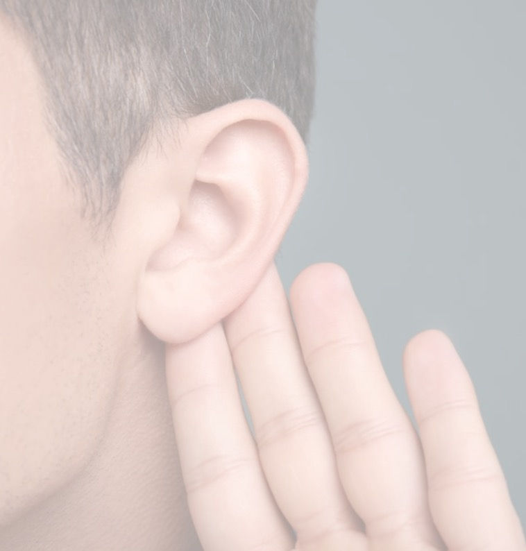 Capture d’écran 2021-11-10 à 15.58_edited.jpg