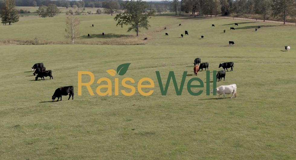 RaiseWell Certified Expands to Chicken, Turkey, Pork and Lamb at Whole Foods Market