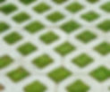 Grass grid_edited.jpg