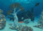 Submarin landscape