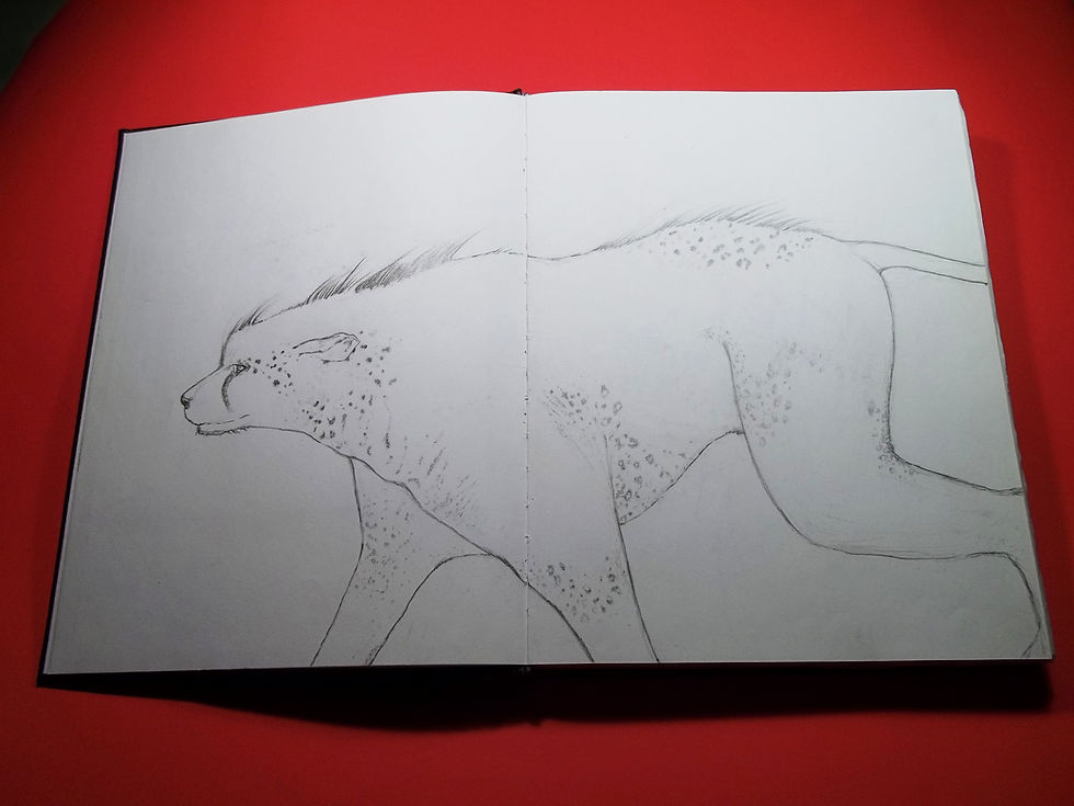 BOOK PAGES 026