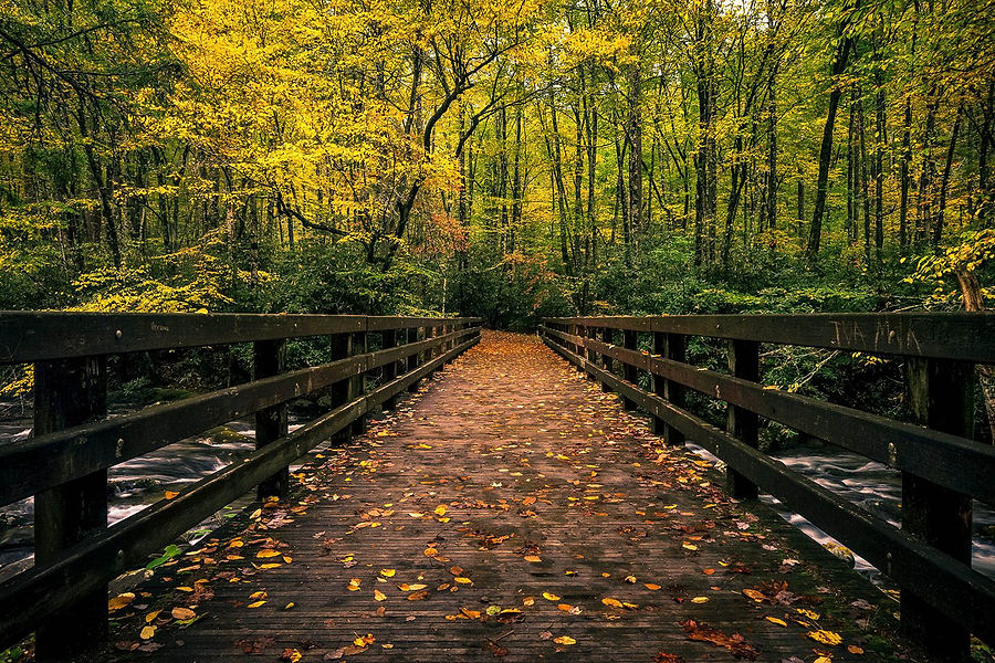 GNHA Hiking Club Greenville, South Carolina