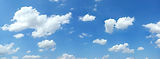 AdobeStock_7031699.jpeg