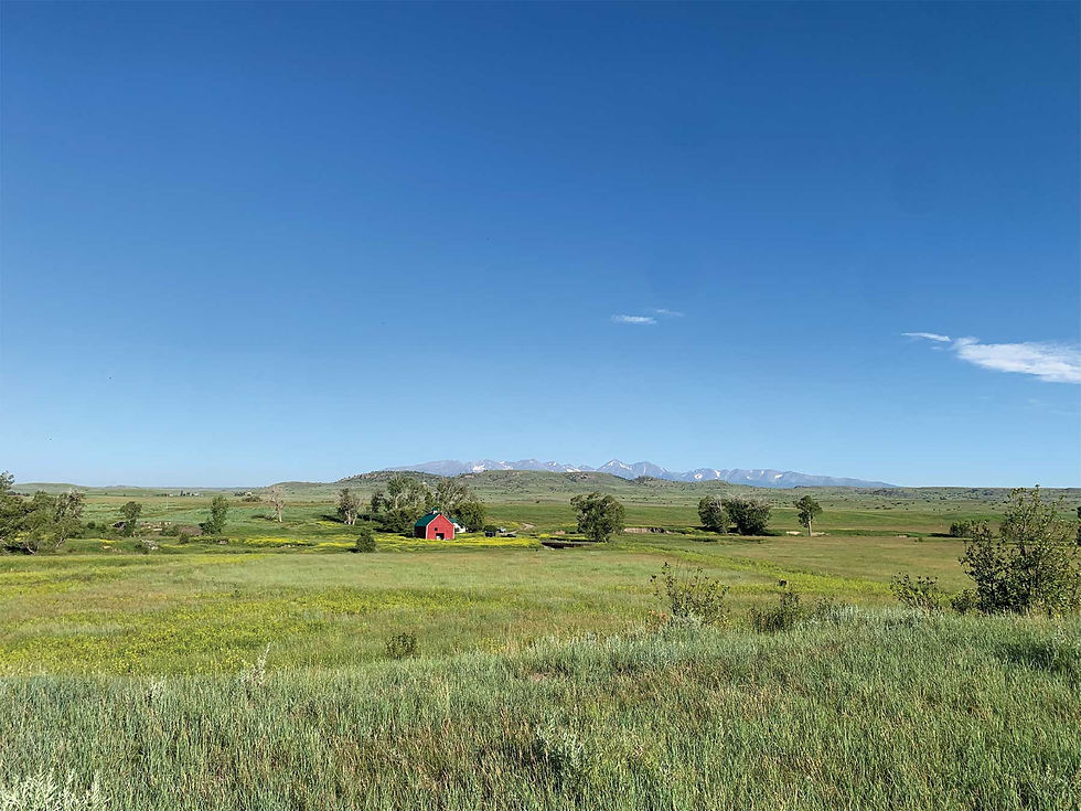 Regen Ranch
