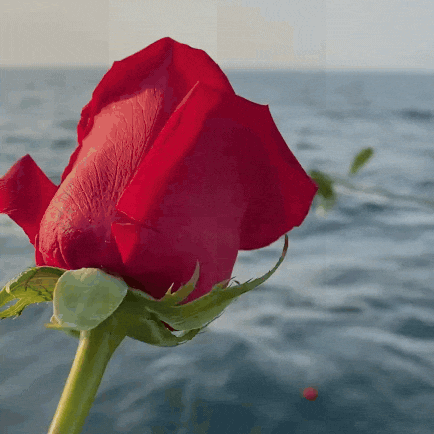 February 2026 - Everything Hamptons