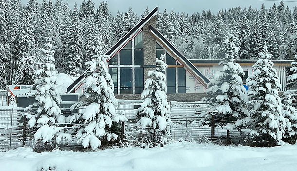 snowfall pic_edited.jpg