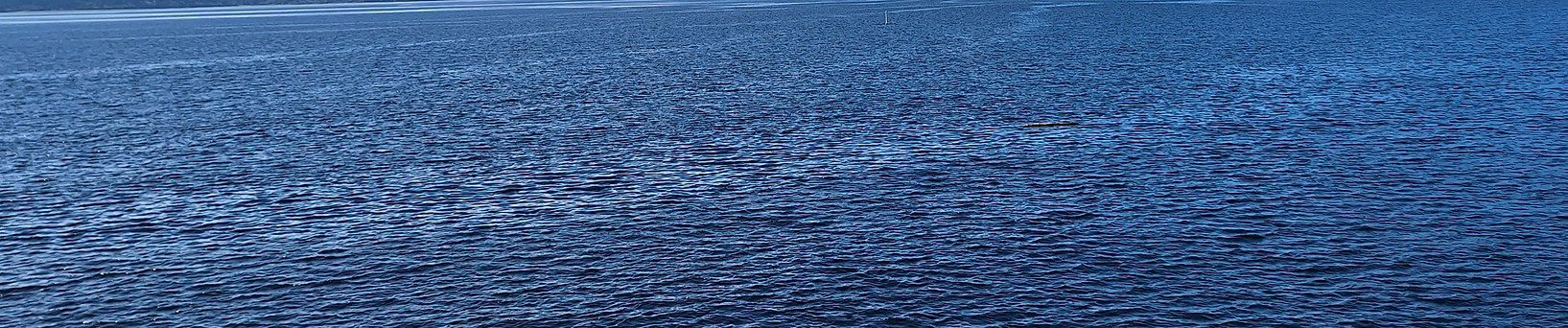 Puget Sound on Sunny day