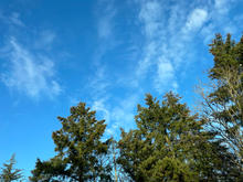 E47796A3-432B-4766-A433-4F7F3265DAF2.jpeg