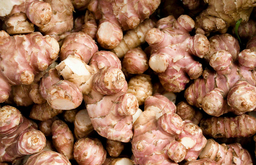 Fresh Jerusalem artichokes, a natural source of inulin fibre used in wellness blends