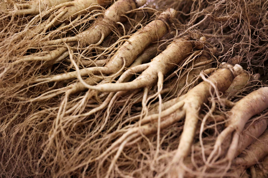 iStock-637045702.jpg