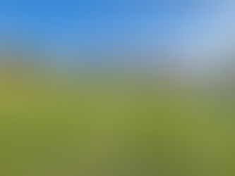 明けましておめでとうございます