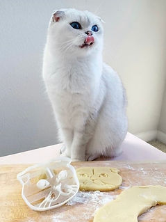 custom portrait cookie cutter photo from customer